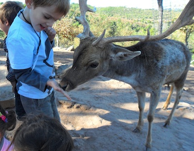 sortir-amb-nens-al-bages-centre-apropament-a-la-natura